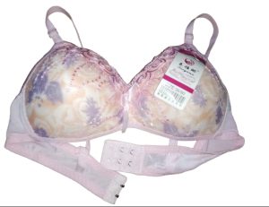 Light Padded Fancy Embroidery Bra – Art 0270